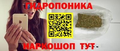 jwh Лесосибирск