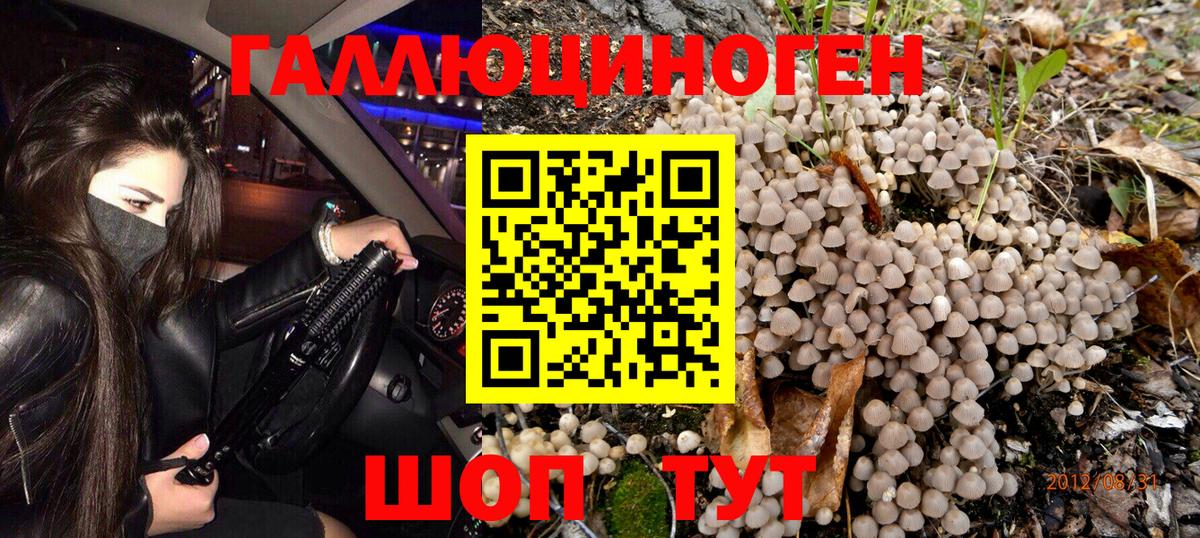 Галлюциногенные грибы Psilocybine cubensis Соликамск